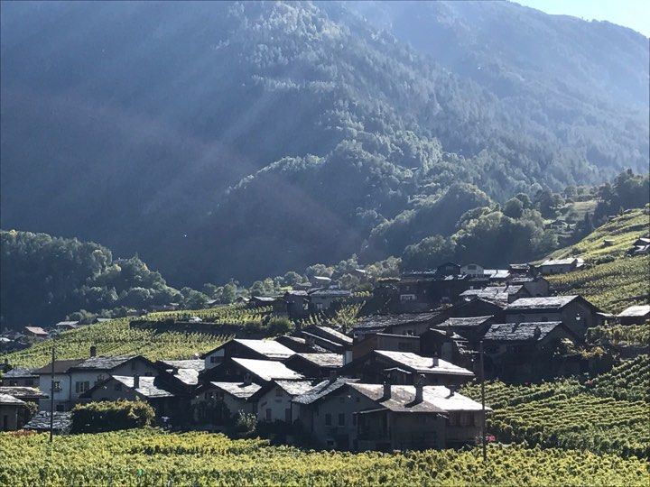 Le hameau de Plan-Cerisier et ses vignes, au-dessus de Martigny